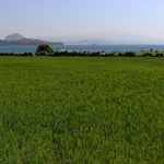 gapa-zapisy2