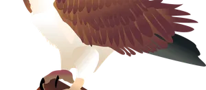 76751372_2653604281368489_7527950387001688064_o